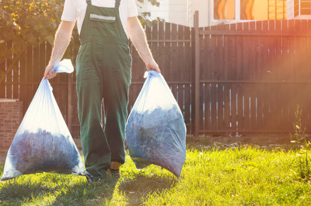 Professional Junk Removal in Moline Acres, MO